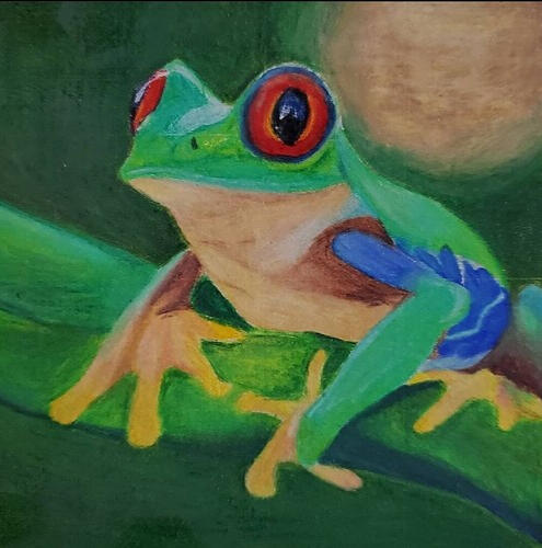 Frog (2019)